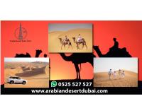 Desert Safari Dubai image 4